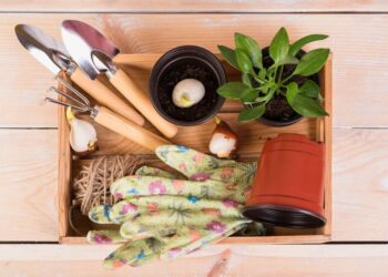 Add New Life to Your Home and Garden Décor With The Right Accessories